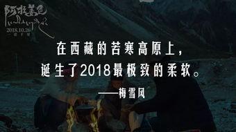 国产三级黄色毛片,暗流涌动的地下世界