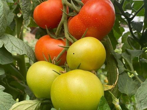 国产资源无限好片